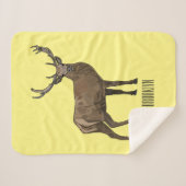 Darstellung des Cartoon Sherpadecke (Vorderseite (Horizontal))