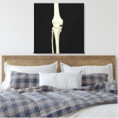 Darstellung des Knie-Knochens, gerade Leinwanddruck (Insitu (Schlafzimmer))