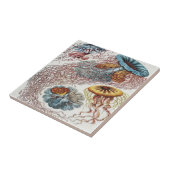 Darstellung des Meereslebens - Ernst Haeckel Poste Fliese (Seite)