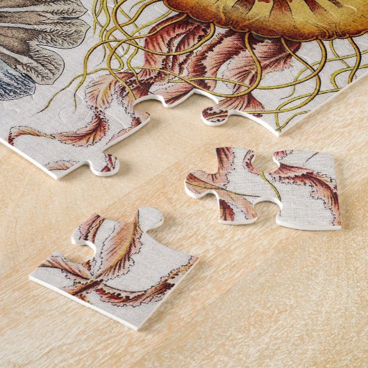 Darstellung des Meereslebens - Ernst Haeckel Puzzle (Seite)