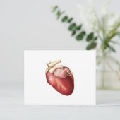Darstellung des menschlichen Herzens Postkarte (Stehend Vorderseite)