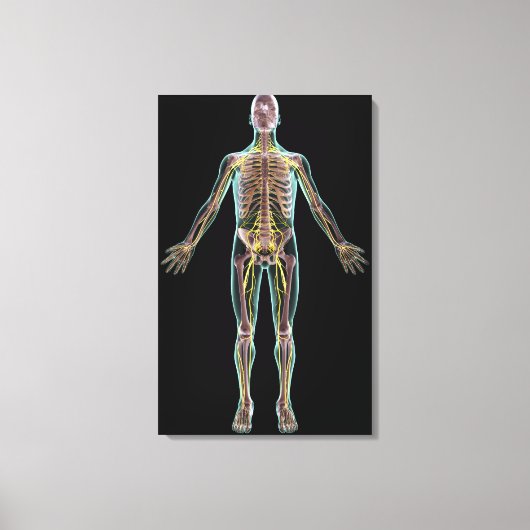 Darstellung des Nervensystems Leinwanddruck (Vorderseite)