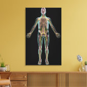 Darstellung des Nervensystems Leinwanddruck (Insitu (Wohnzimmer))