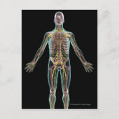 Darstellung des Nervensystems Postkarte (Vorderseite)