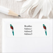 Darstellung des Quetzal-Cartoon (Insitu)