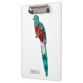 Darstellung des Quetzal-Cartoon Klemmbrett (Links)