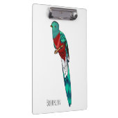 Darstellung des Quetzal-Cartoon Klemmbrett (Rechts)