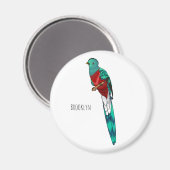 Darstellung des Quetzal-Cartoon Magnet (Vorderseite/Rückseite)