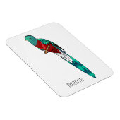 Darstellung des Quetzal-Cartoon Magnet (Rechte Seite)