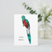 Darstellung des Quetzal-Cartoon Postkarte (Stehend Vorderseite)