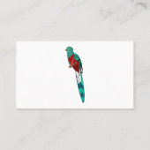 Darstellung des Quetzal-Cartoon Visitenkarte (Rückseite)