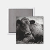 Darstellung eines Angus Magnet (Vorderseite/Rückseite)