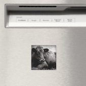 Darstellung eines Angus Magnet (In Situ (Geschirrspüler))