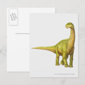 Darstellung eines Camarasaurus Postkarte (Vorne/Hinten)