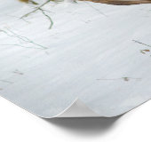 Darstellung eines Doe Poster (Ecke)