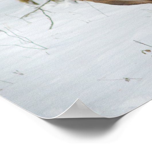 Darstellung eines Doe Poster (Ecke)