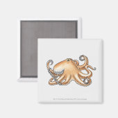 Darstellung eines Oktopus Magnet (Vorderseite/Rückseite)