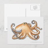 Darstellung eines Oktopus Postkarte (Vorne/Hinten)