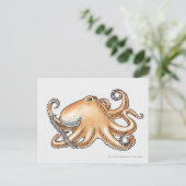 Darstellung eines Oktopus Postkarte (Stehend Vorderseite)