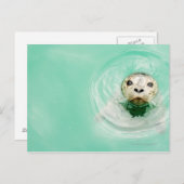 Darstellung eines Siegels im Wasser Postkarte (Vorne/Hinten)