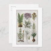 Darstellung in "MON DOCTEUR" Postkarte (Vorne/Hinten)