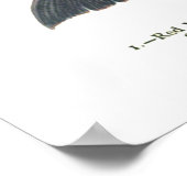 Darstellung verschiedener Arten von Fischen Poster (Ecke)