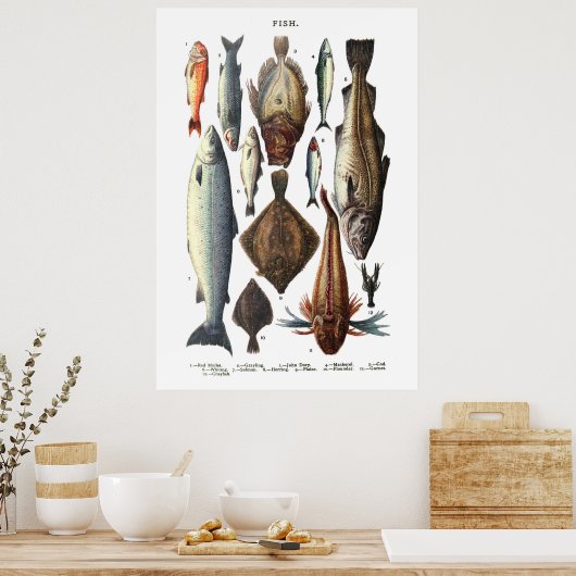 Darstellung verschiedener Arten von Fischen Poster (Küche)