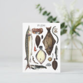 Darstellung verschiedener Arten von Fischen Postkarte (Stehend Vorderseite)