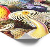 Darstellung von Meeresanemonen durch Ernst Haeckel Poster (Ecke)