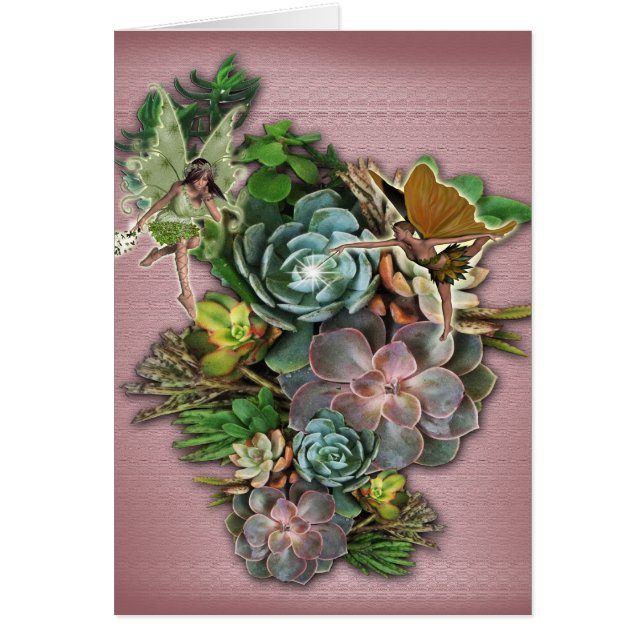 Darstellungen (Vorne)