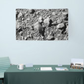 DART Dimorphos Asteroid Moonlet Surface Banner (Messeveranstaltung)