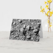 DART Dimorphos Asteroid Moonlet Surface Card Karte (Gelbe Blume)