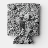 DART Dimorphos Asteroid Moonlet Surface Dosenkühler (Vorderseite)