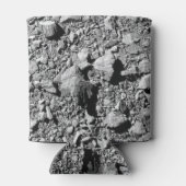 DART Dimorphos Asteroid Moonlet Surface Dosenkühler (Rückseite)