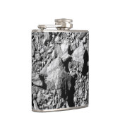 DART Dimorphos Asteroid Moonlet Surface Flachmann (Rechts)