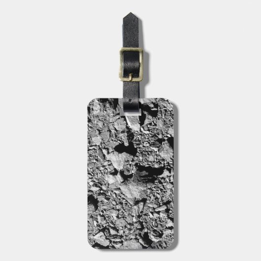 DART Dimorphos Asteroid Moonlet Surface Gepäckanhänger (Vorderseite vertikal)