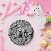 DART Dimorphos Asteroid Moonlet Surface Pappteller (Party)