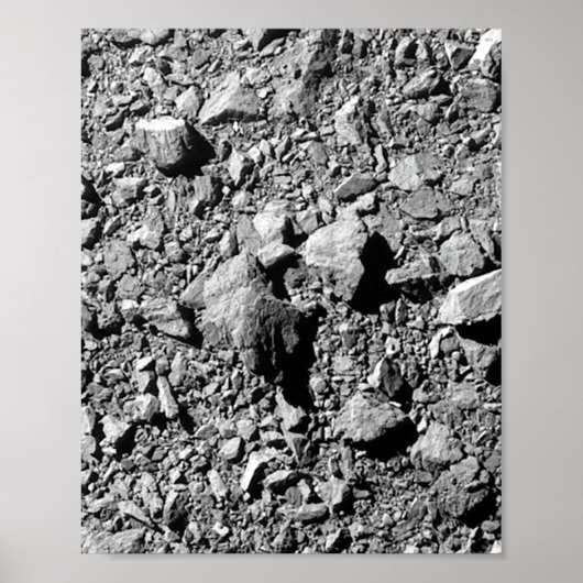 DART Dimorphos Asteroid Moonlet Surface Poster (Vorne)