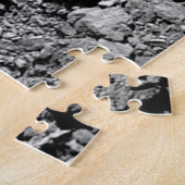 DART Dimorphos Asteroid Moonlet Surface Puzzle (Seite)