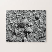 DART Dimorphos Asteroid Moonlet Surface Puzzle (Horizontal)