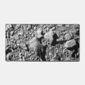 DART Dimorphos Asteroid Moonlet Surface Schreibtischunterlage (Vorderseite)