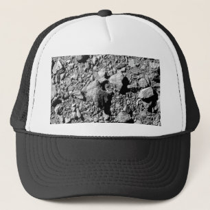 DART Dimorphos Asteroid Moonlet Surface Truckerkappe