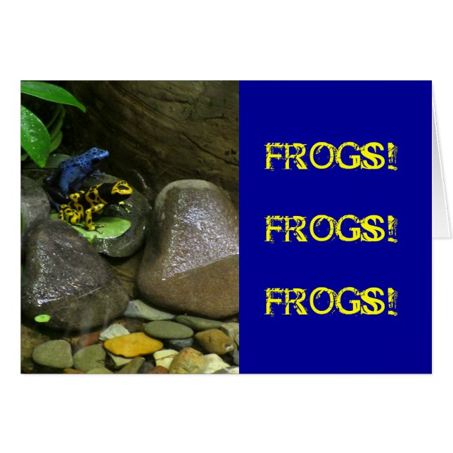Dart Frog Buddies (Vorderseite (Horizontal))