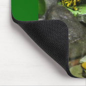 Dart Frog Buddies Mousepad (Ecke)