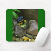 Dart Frog Buddies Mousepad (Mit Mouse)