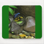 Dart Frog Buddies Mousepad (Vorne)