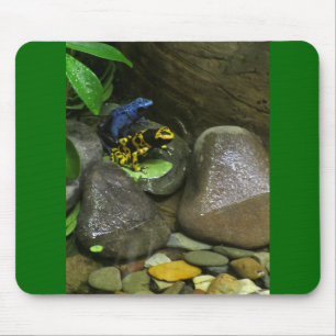 Dart Frog Buddies Mousepad