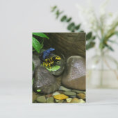 Dart Frog Buddies Postkarte (Stehend Vorderseite)