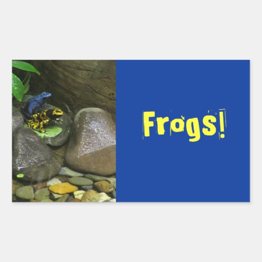 Dart Frog Buddies Rechteckiger Aufkleber (Vorderseite)