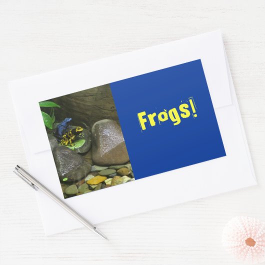 Dart Frog Buddies Rechteckiger Aufkleber (Umschlag)